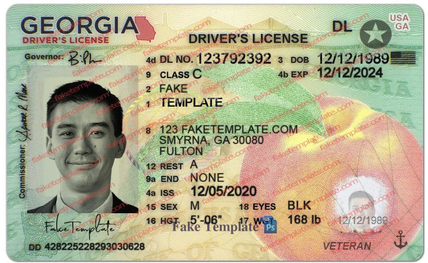 blank georgia drivers license template 01